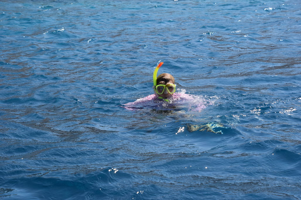 Two Day Petra Kings Way - Al-Karak Castle