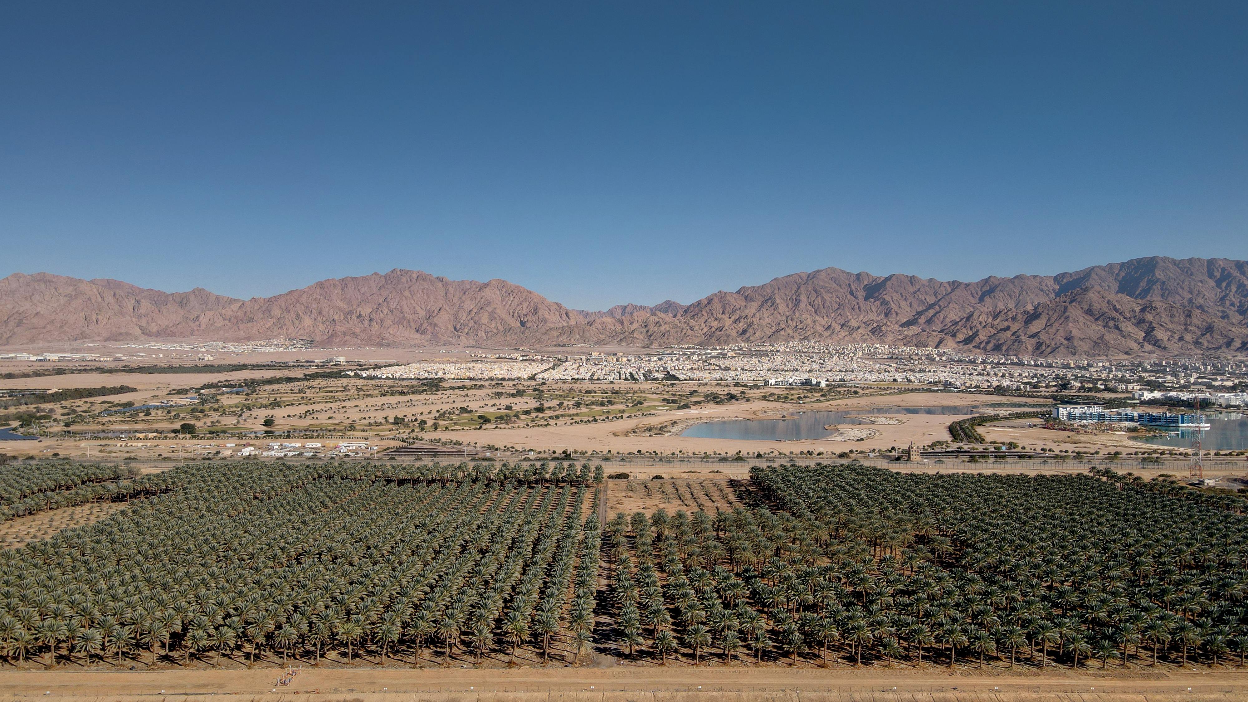 Discover the Gulf of Aqaba in Winter - A Unique Jordan Experience